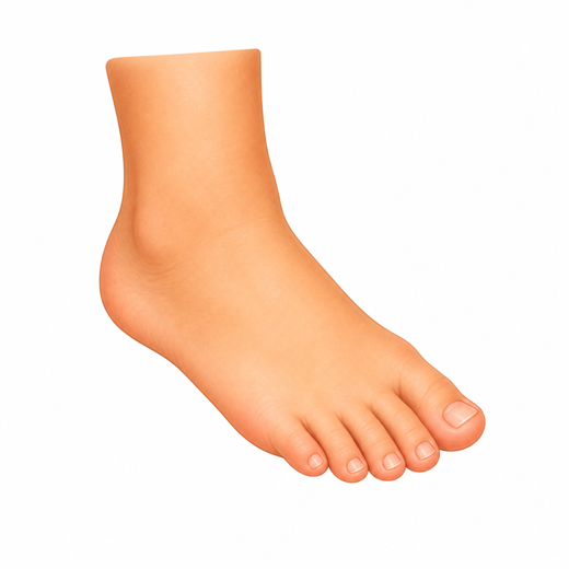 foot