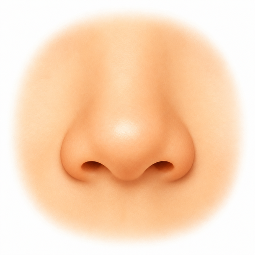 nose